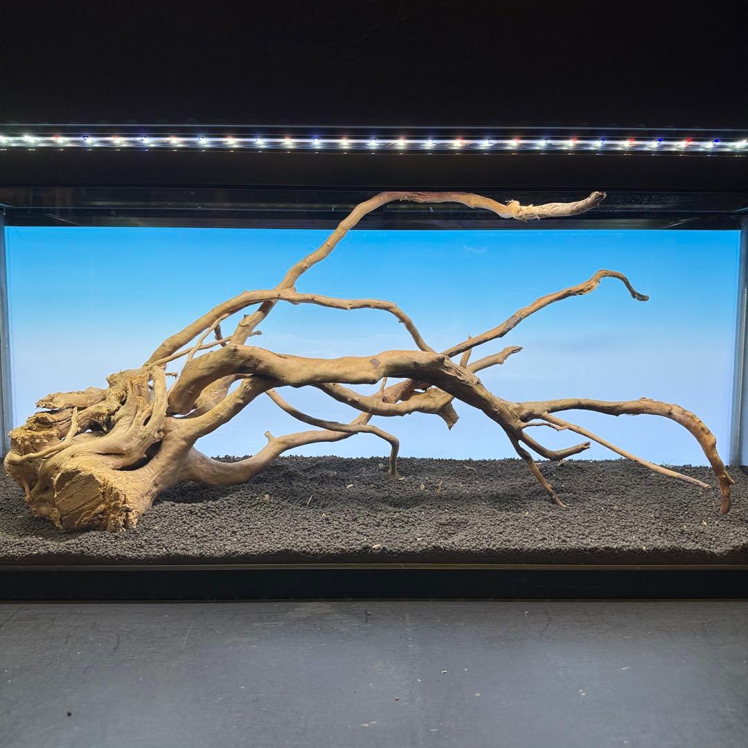 MDW-7103 ブランチウッド3本セット　流木セット　枝流木　アクアリウム