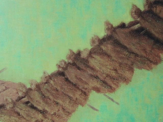 池田 遥邨、稲掛け、大判、額装用・画版、日本製・新品額 額装付、状態良好