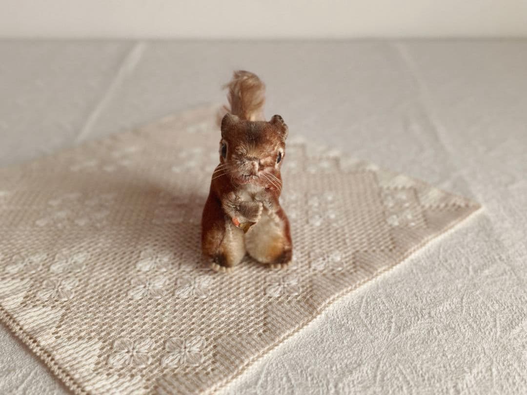 【ひまわりさま】vintage ♡ フランスに憧れている リスちゃん