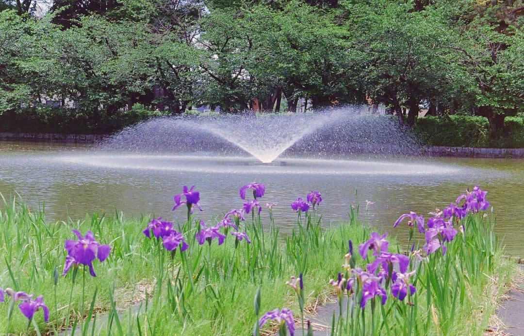 キヤノン　JET135 フィルムカメラ