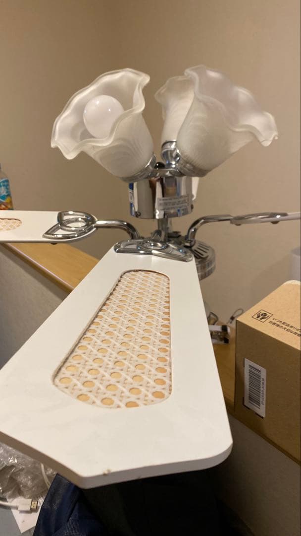 たーくん★プロフ必読★　シーリングライト　ファン付き ホワイト シーリング