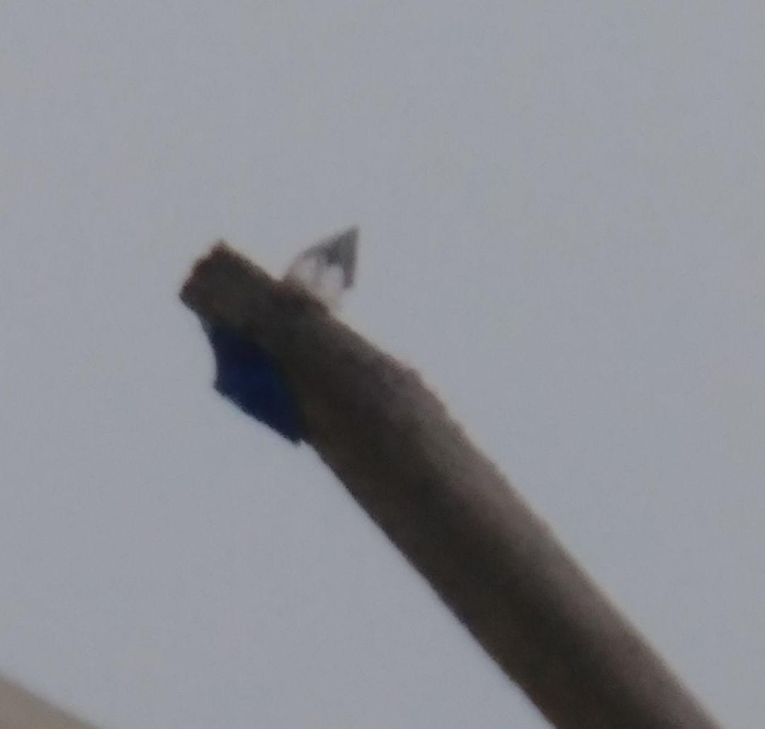 デノン MCカートリッジ DL-103S 出音良好美品