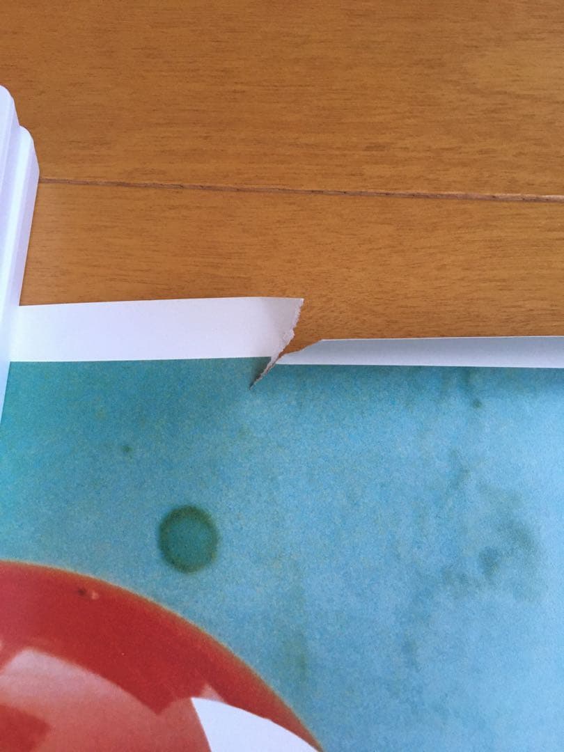 thee michelle gun elephant ポスター 2枚セット