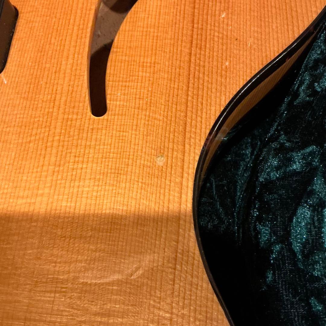 Vox Virage DC Custom “Butterfly”