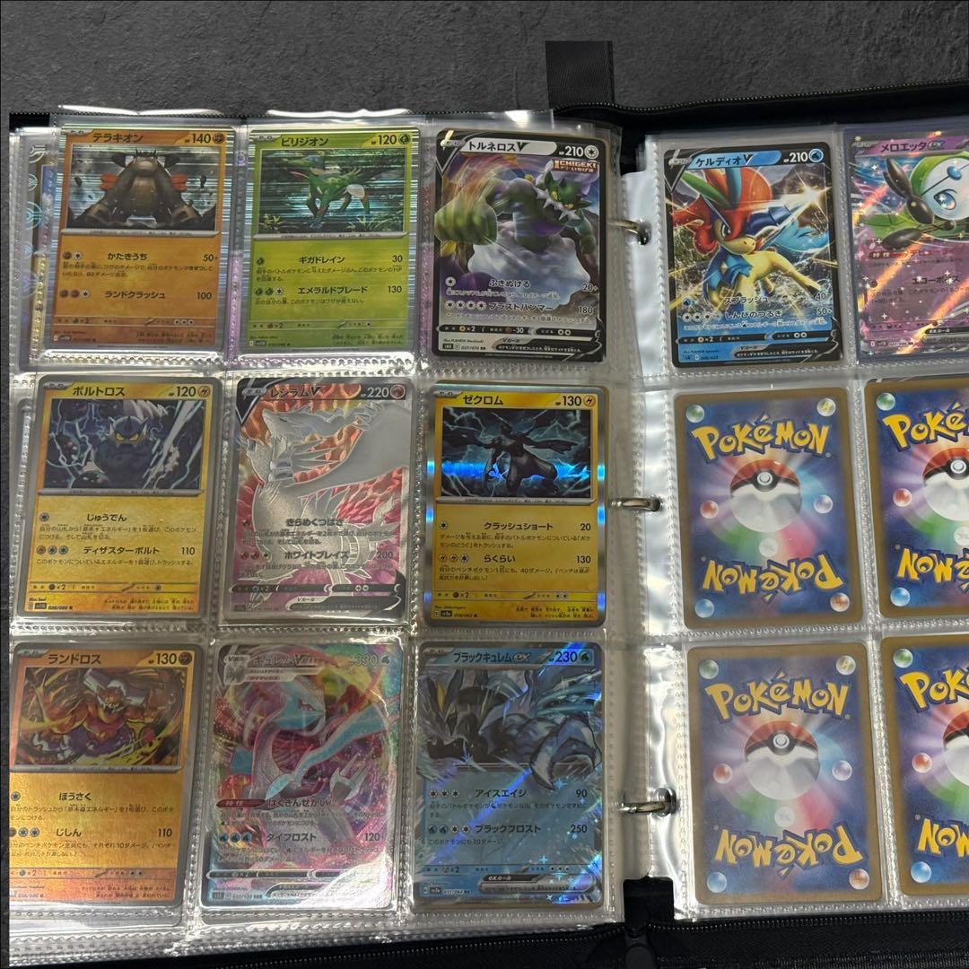 ポケモンカード　ポケモン全国図鑑順　全1025種類コンプリートセット　ファイル
