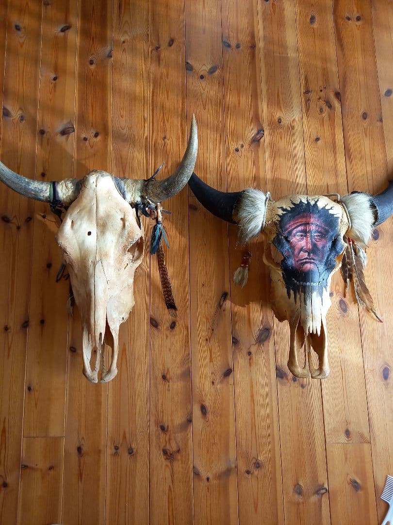 #バッファロースカル　#牛頭骨　#オブジェ　牛骨　2個セット