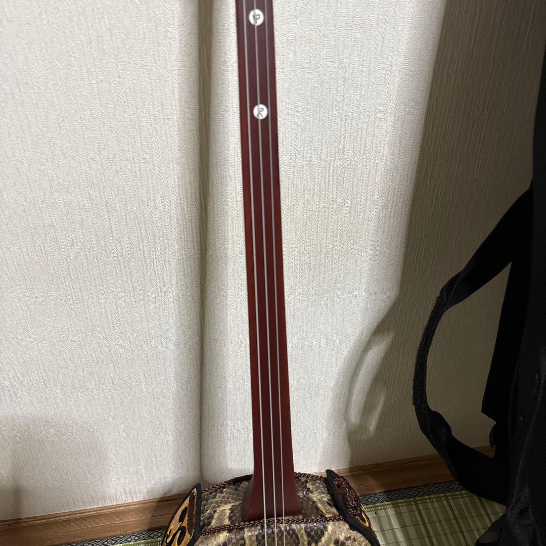 三線 蛇三線 本皮 本革 蛇皮 蛇革 三味線 琉球 沖縄 楽器　ソフトケース付き