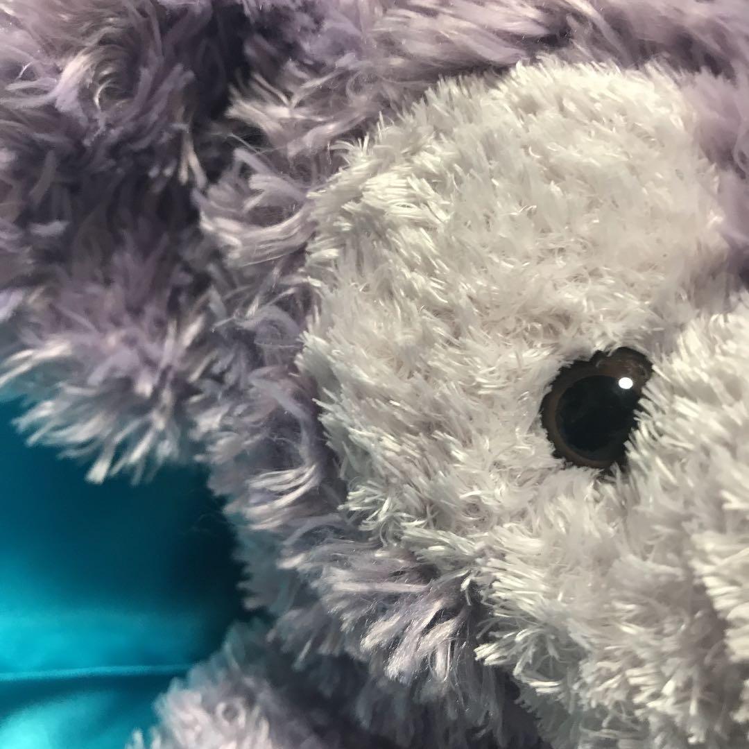 WDWダッフィー　パープル　カラーダッフィー  DLR