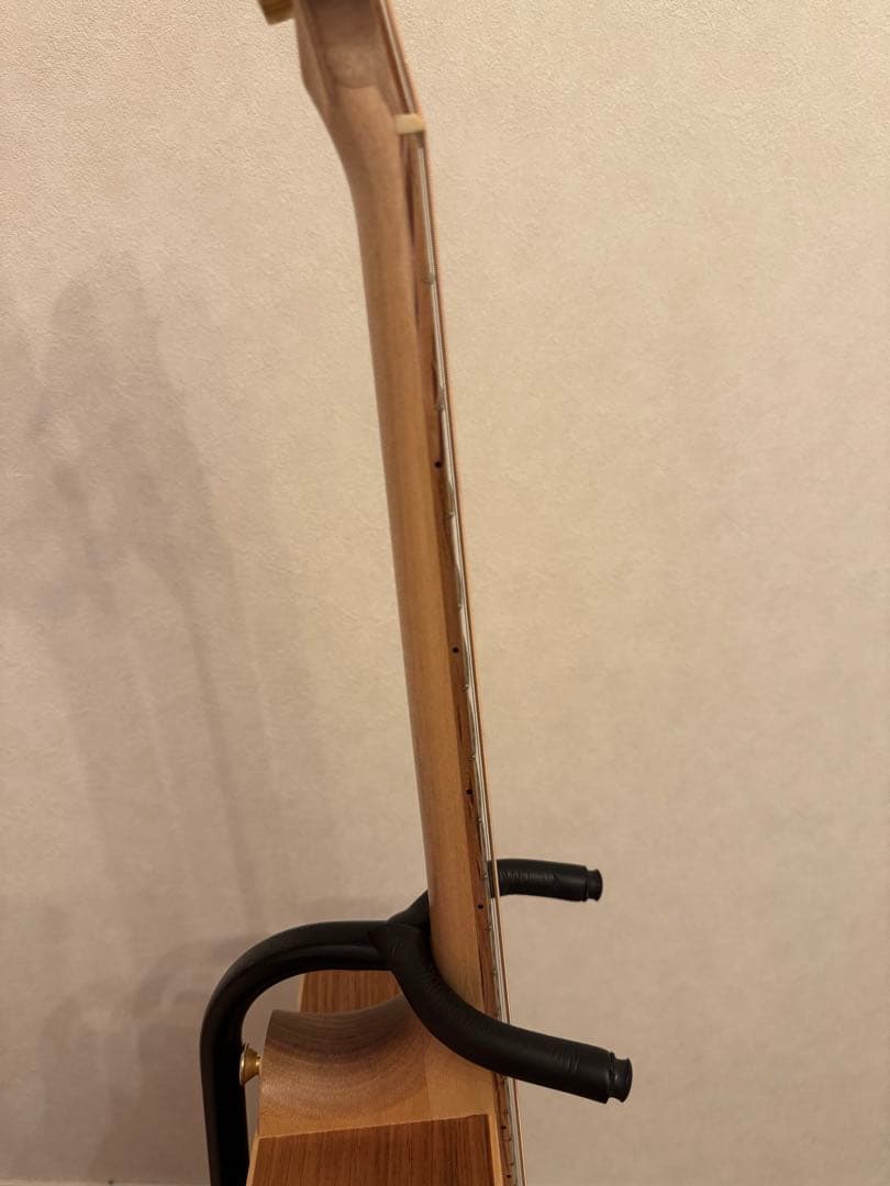 【Cole Clark】アコースティックギター FL2EC-BB