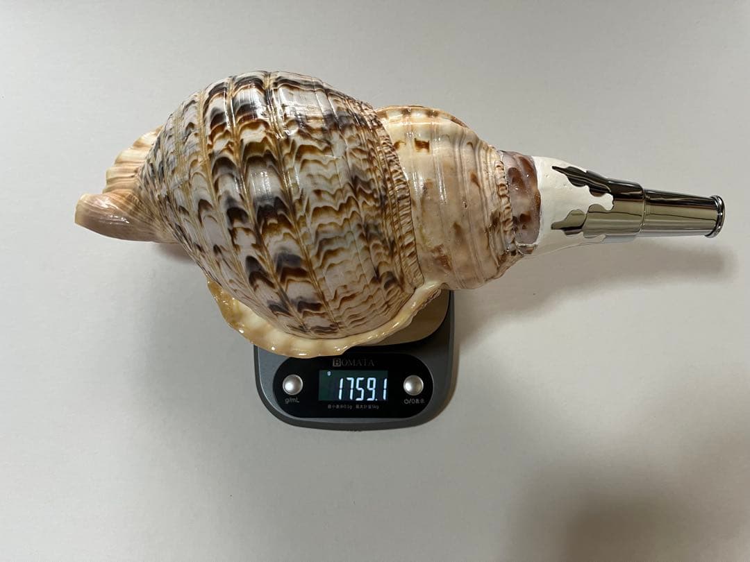 法螺貝2個セット