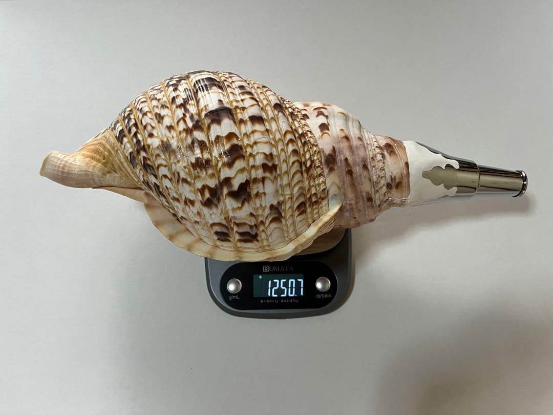 法螺貝2個セット