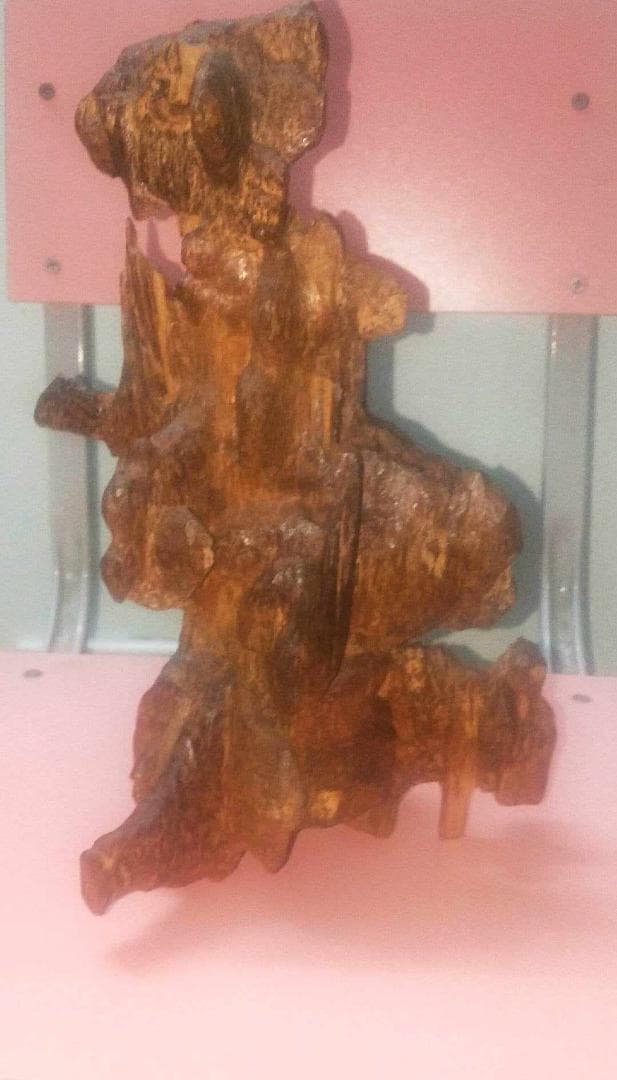 常温で香りが立つ希少なベトナム産沈香 !