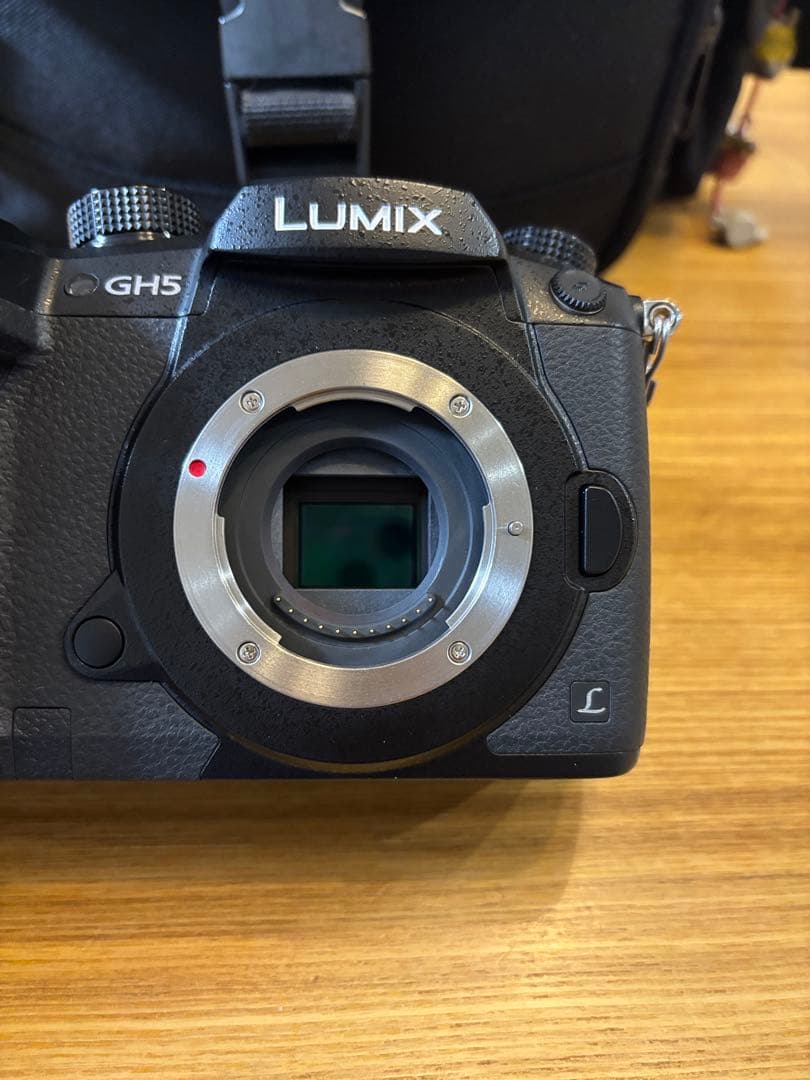【最終値下げ】LUMIX GH5 ミラーレス一眼 GVARIO12-32mm