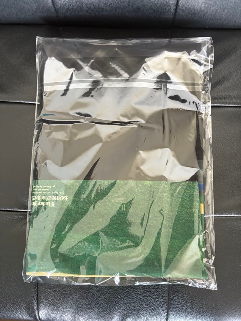 BLANKEY JET CITY 「ロメオの心臓」 アナログ特典Tシャツ　L