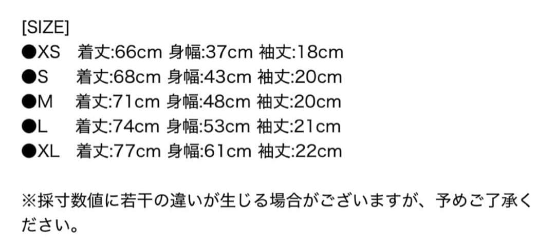 Polo slim fit tee ポロスリムフィット XS 白黒セット