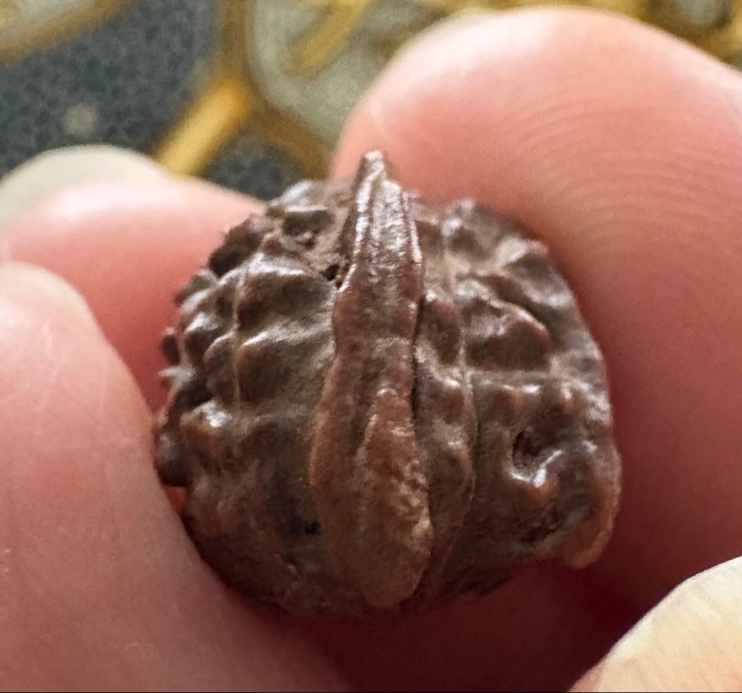 ✰︎‪ 琥珀 ✰ ✰︎　　ルドラクシャブレスレット　トップॐ