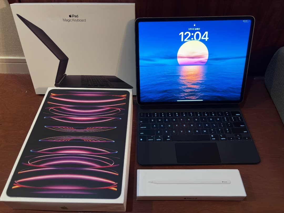 【美品セット】売り切りiPad Pro 12.9インチ第6世代（256GB）