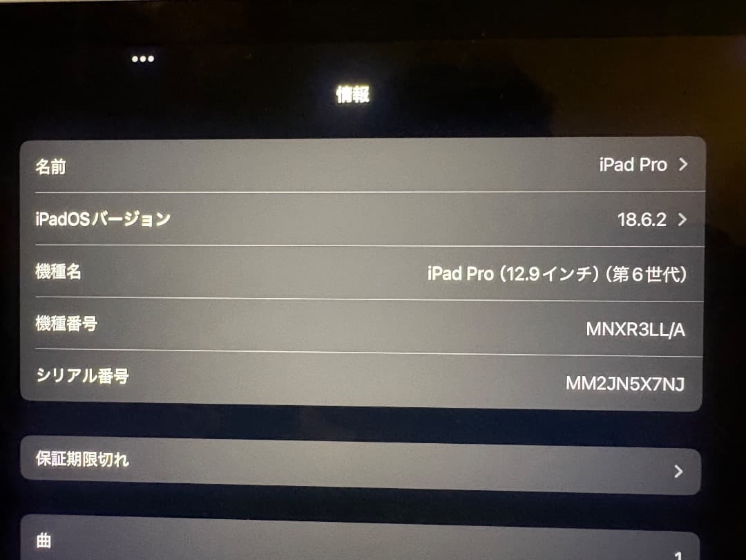 【美品セット】売り切りiPad Pro 12.9インチ第6世代（256GB）