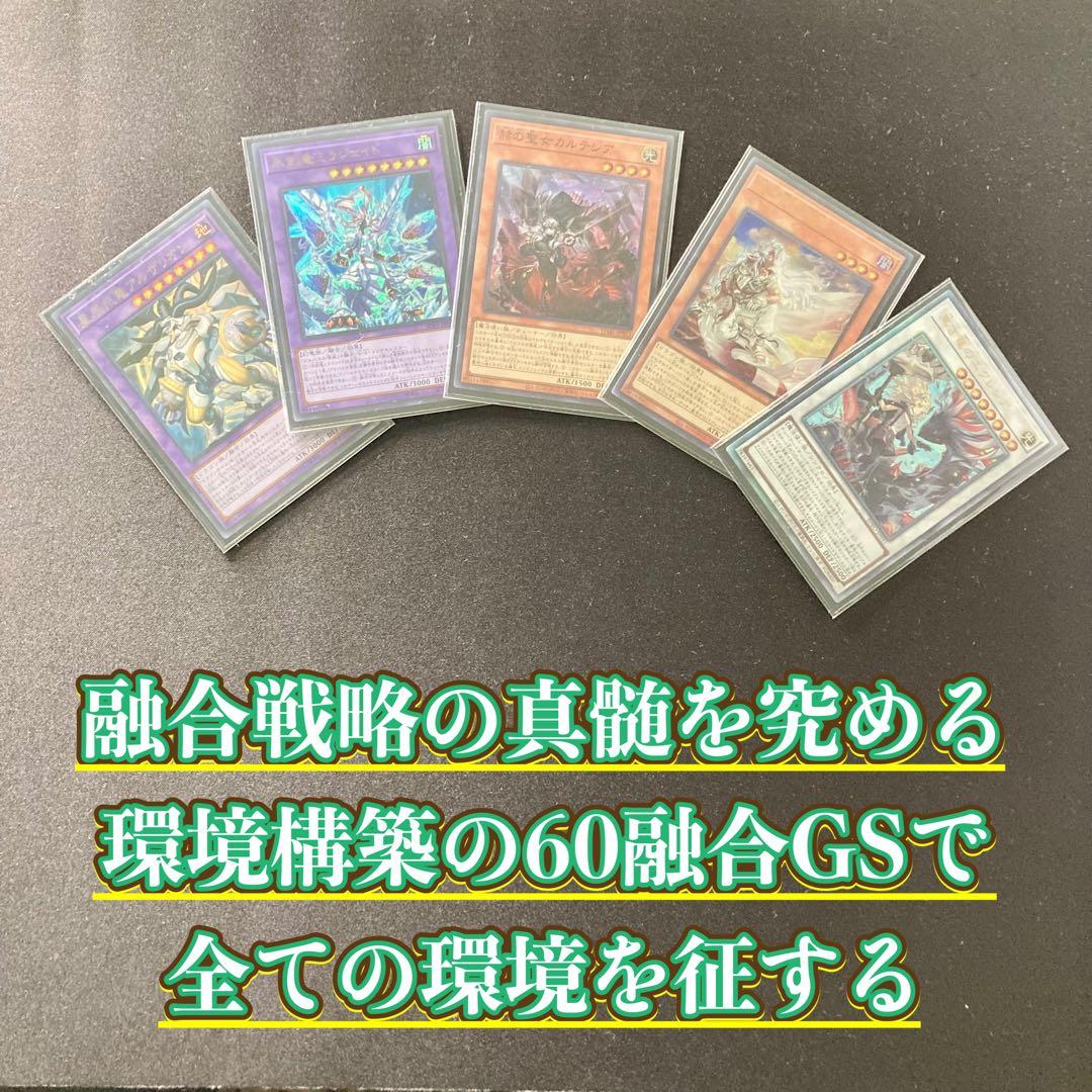 本格構築【60融合GS】デッキ＆二重スリーブ