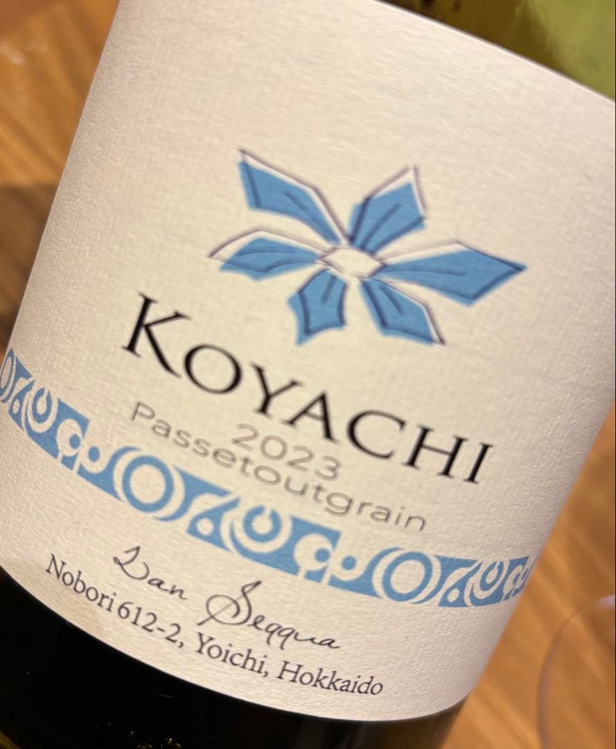 KOYACHI 2023 4本（ランセッカ）