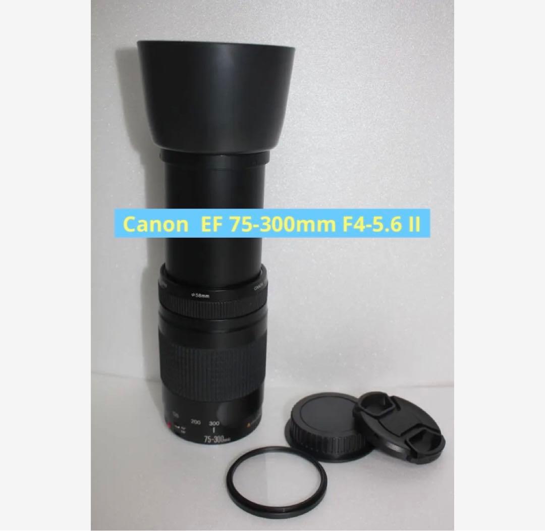 美品☆デジタル一眼レフカメラ☆Canon EF75-300㎜　II☆