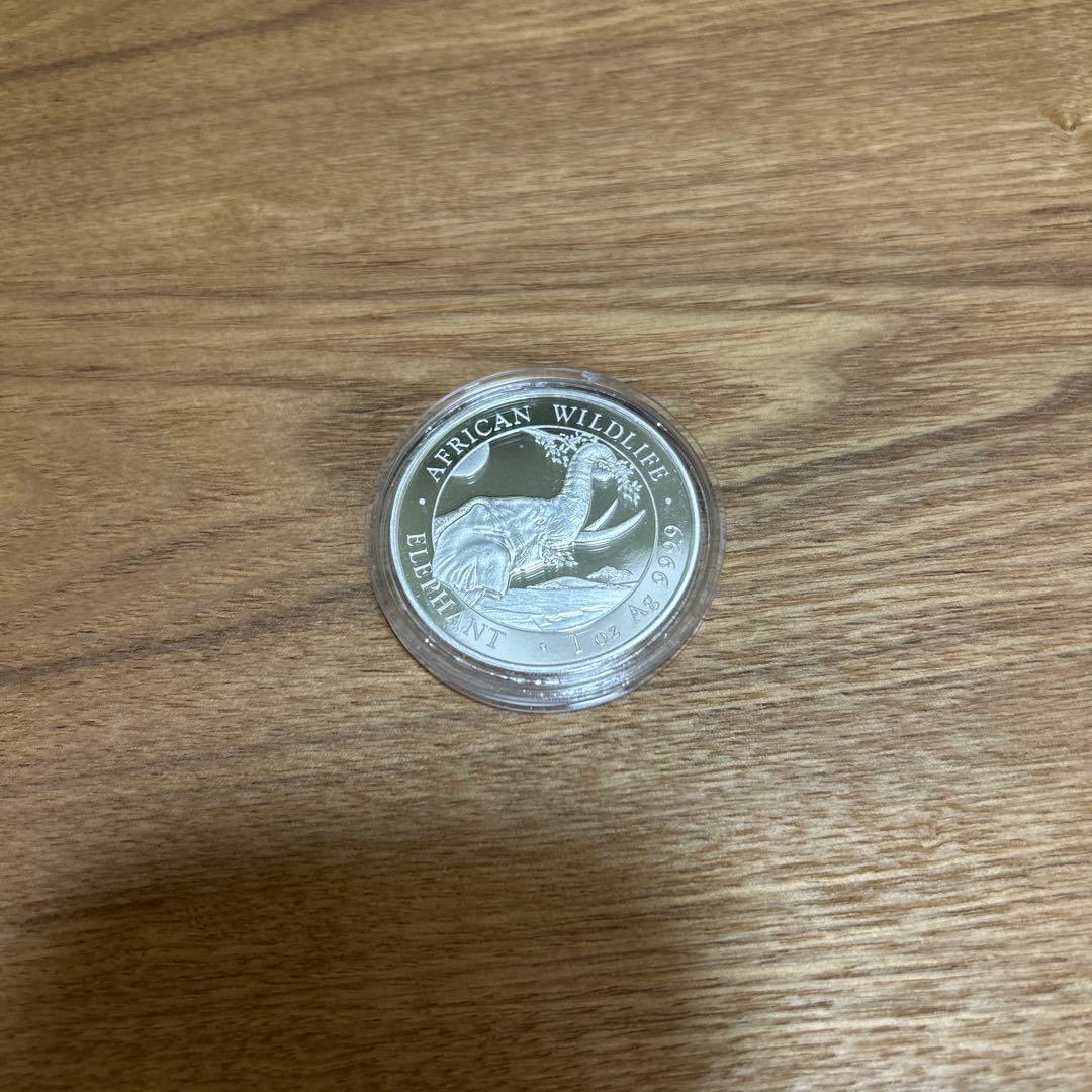純銀メダル　ソマリア　象