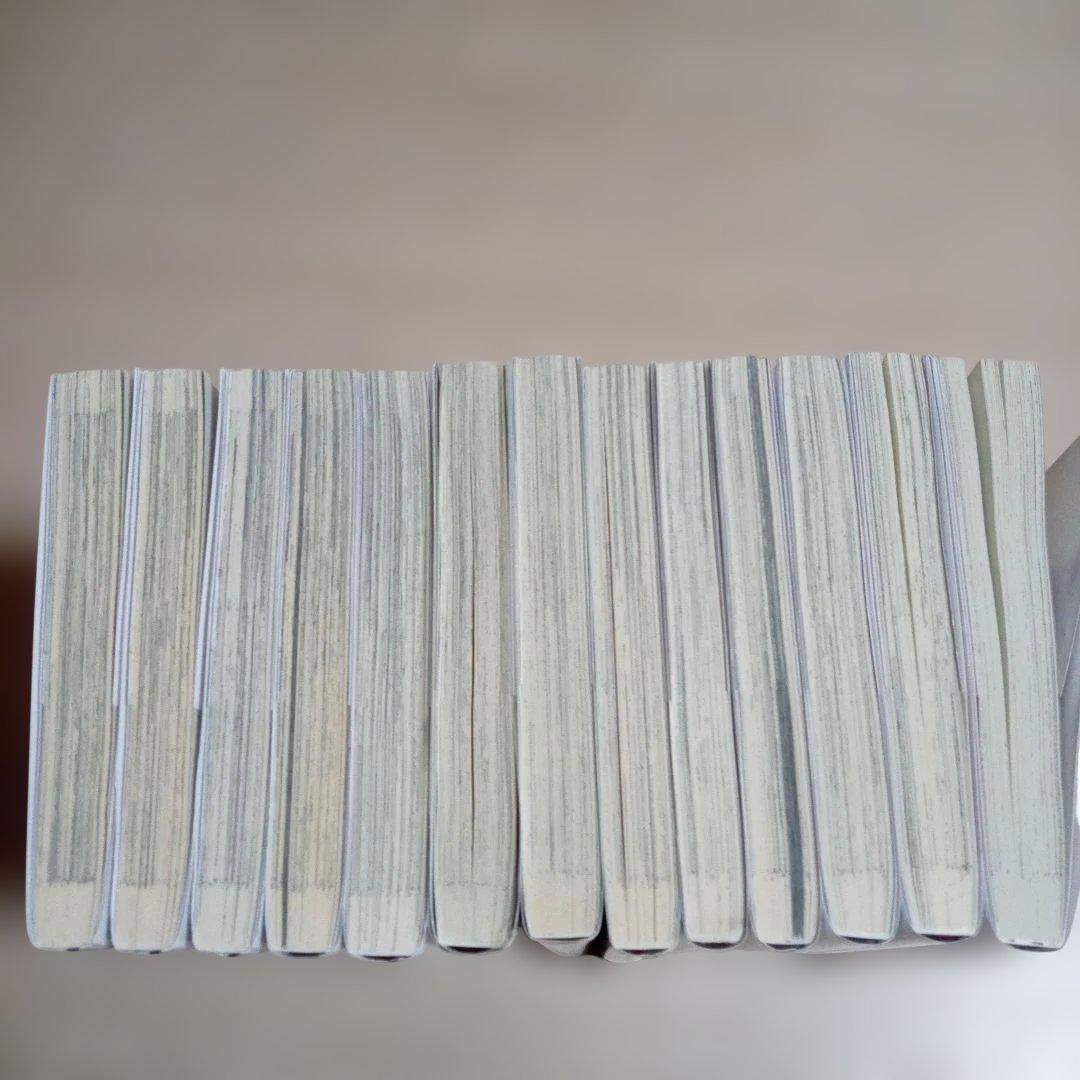 穏やか貴族の休暇のすすめ。@COMIC　1～13巻　中古☆