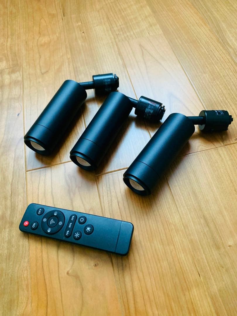 【リモコン付き】エジソンスマート ダクトレール用スポットライト ブラック