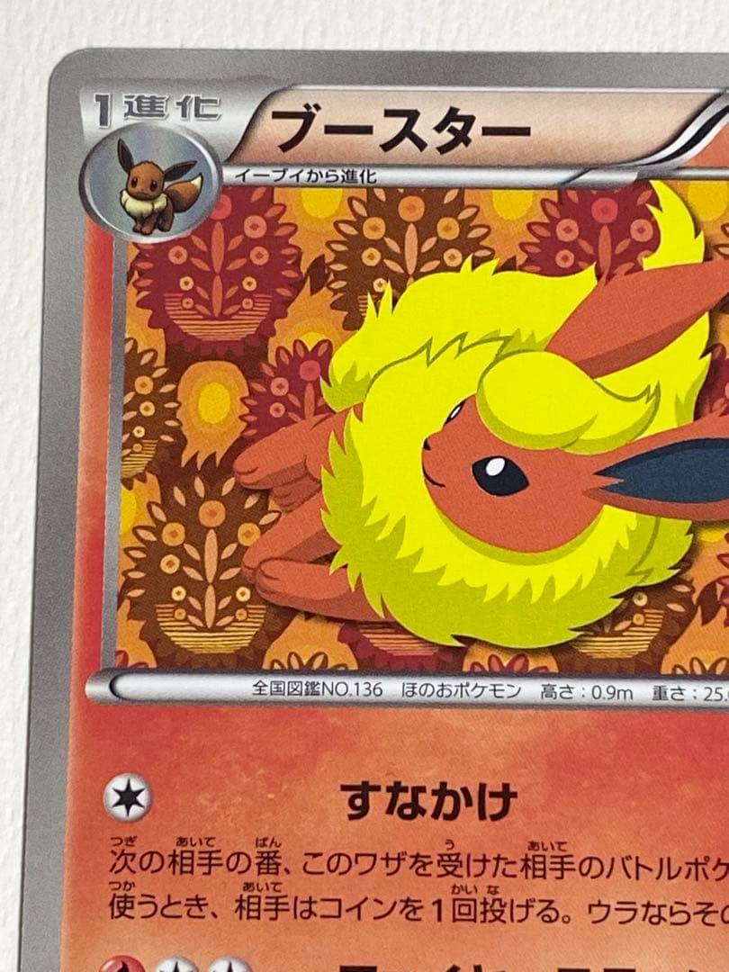 ポケモンカード　bw-p ブースター　イーブイコレクション　ファイル　プロモ