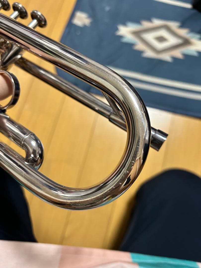 今日限定最終値下げ！YAMAHA Xeno YTR8335 RG