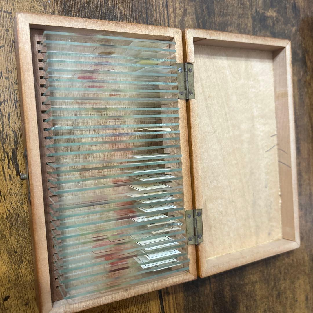 顕微鏡プレパラート　生理　30種　昭和物