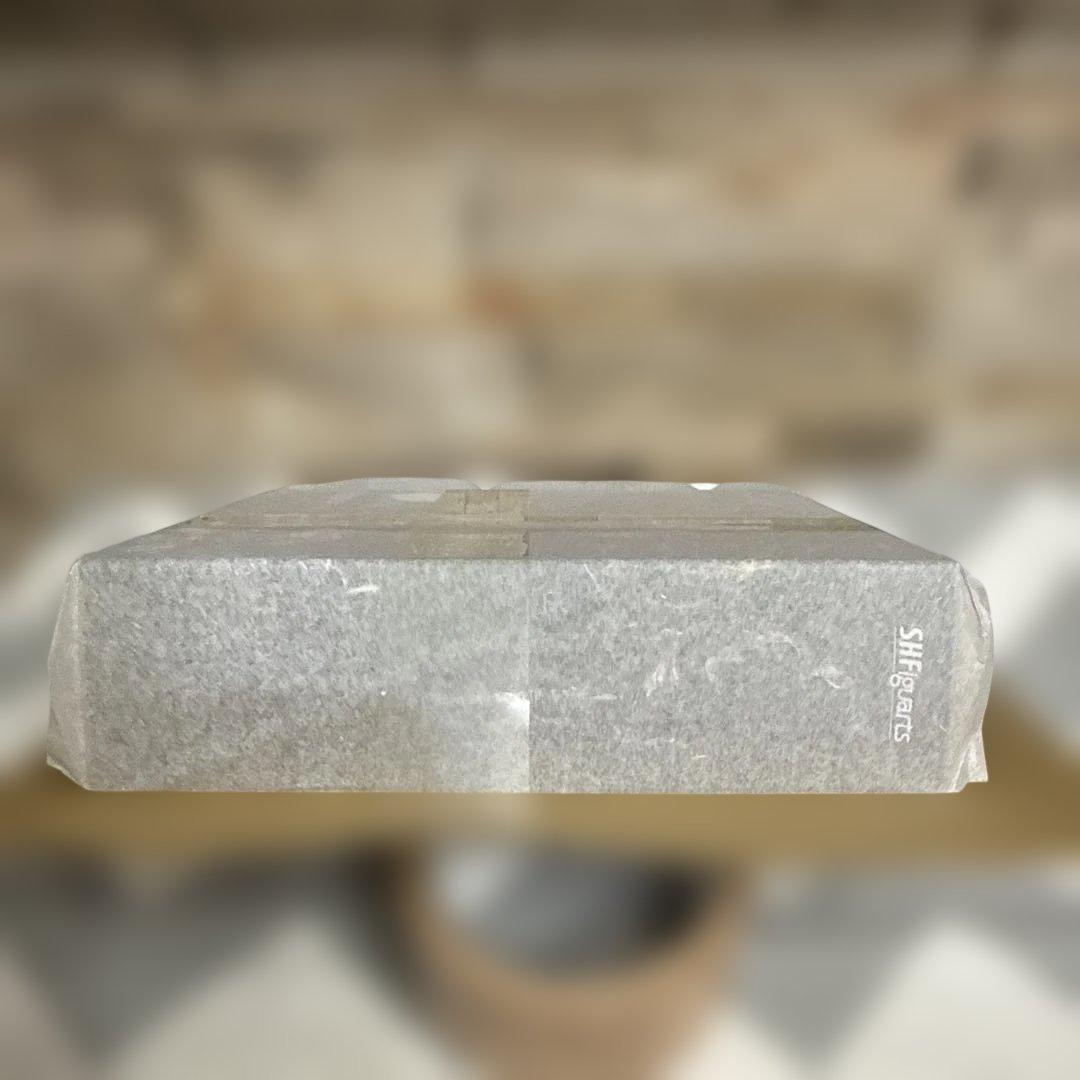 S.H.Figuarts 指痕爛れのヴァイク