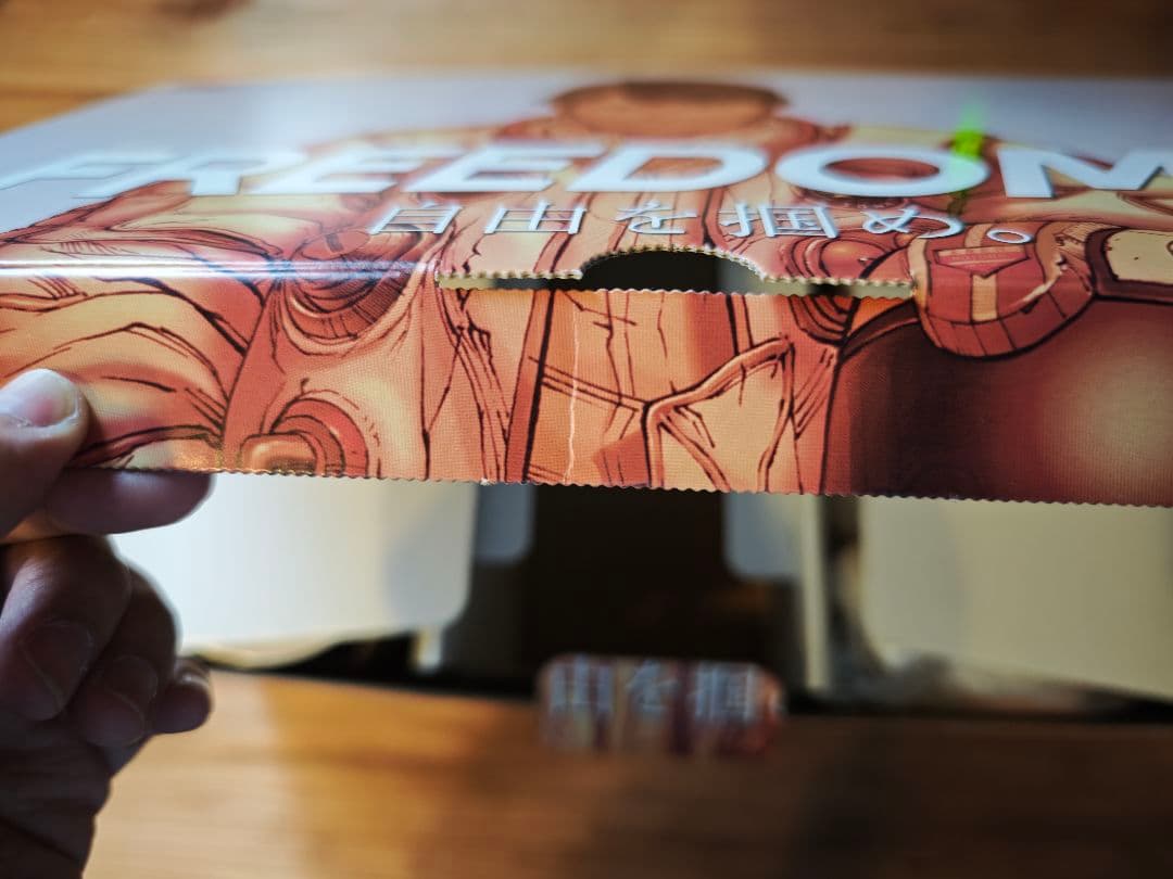 FREEDOM フィギュア ポスター4枚セット 大友克洋 当選品