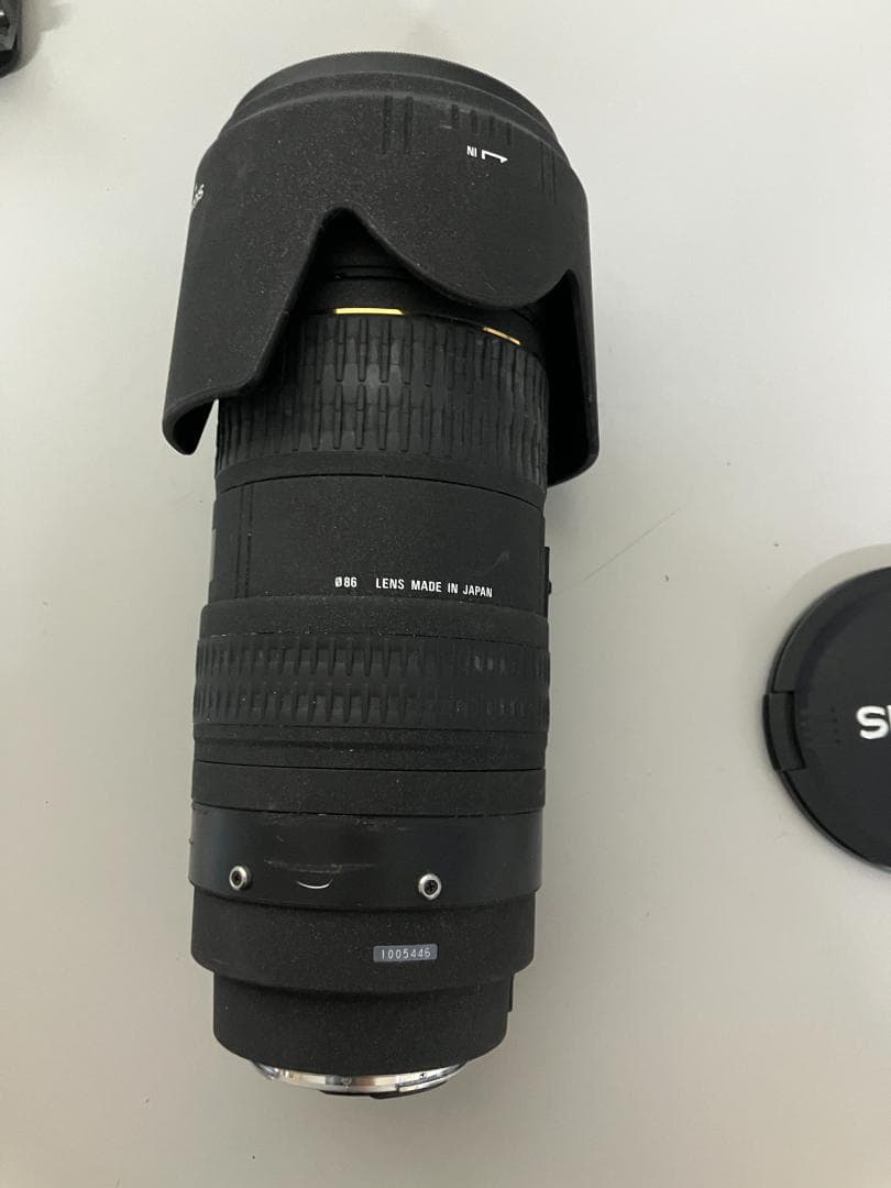 SIGMA APO 50-500mm F4-6.3 EX SONY用