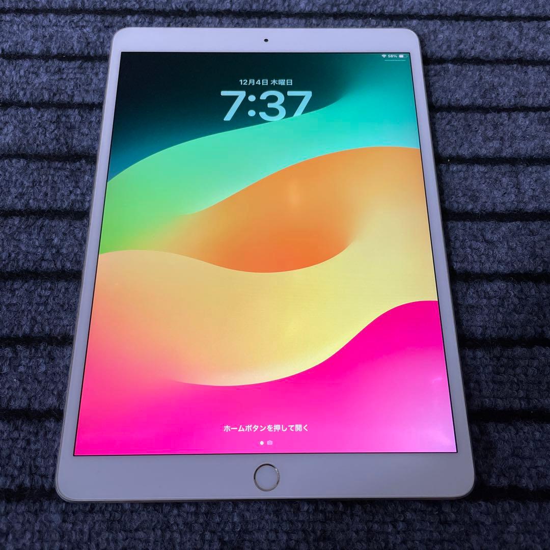 117【早い者勝ち】 iPad Pro 10.5 256GB Wi-Fi