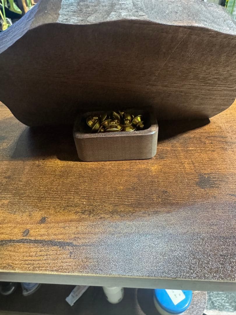 魚類模型作家 吉田光　2024トラウトベビーピンズ（婚姻色）フルコンプ