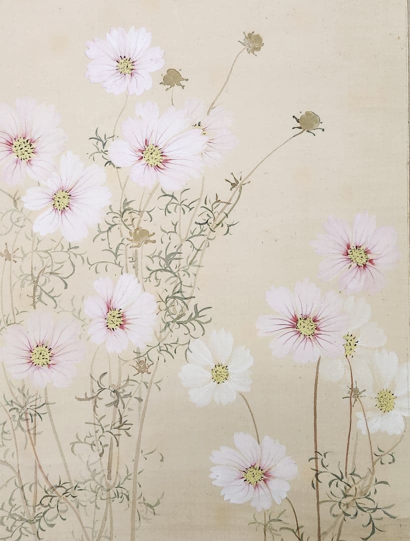 【コスモス図】田場松嶺 2670 掛け軸　肉筆