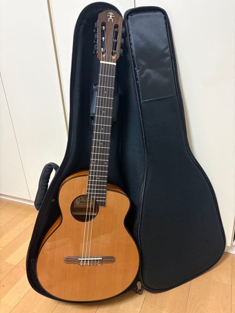 aNueNue MN14E ナイロン弦モデル【値下げしました】