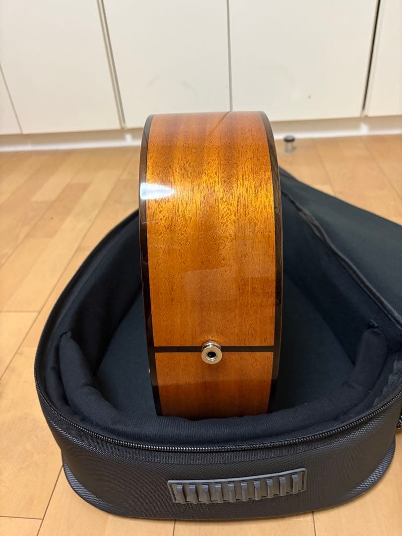 aNueNue MN14E ナイロン弦モデル【値下げしました】