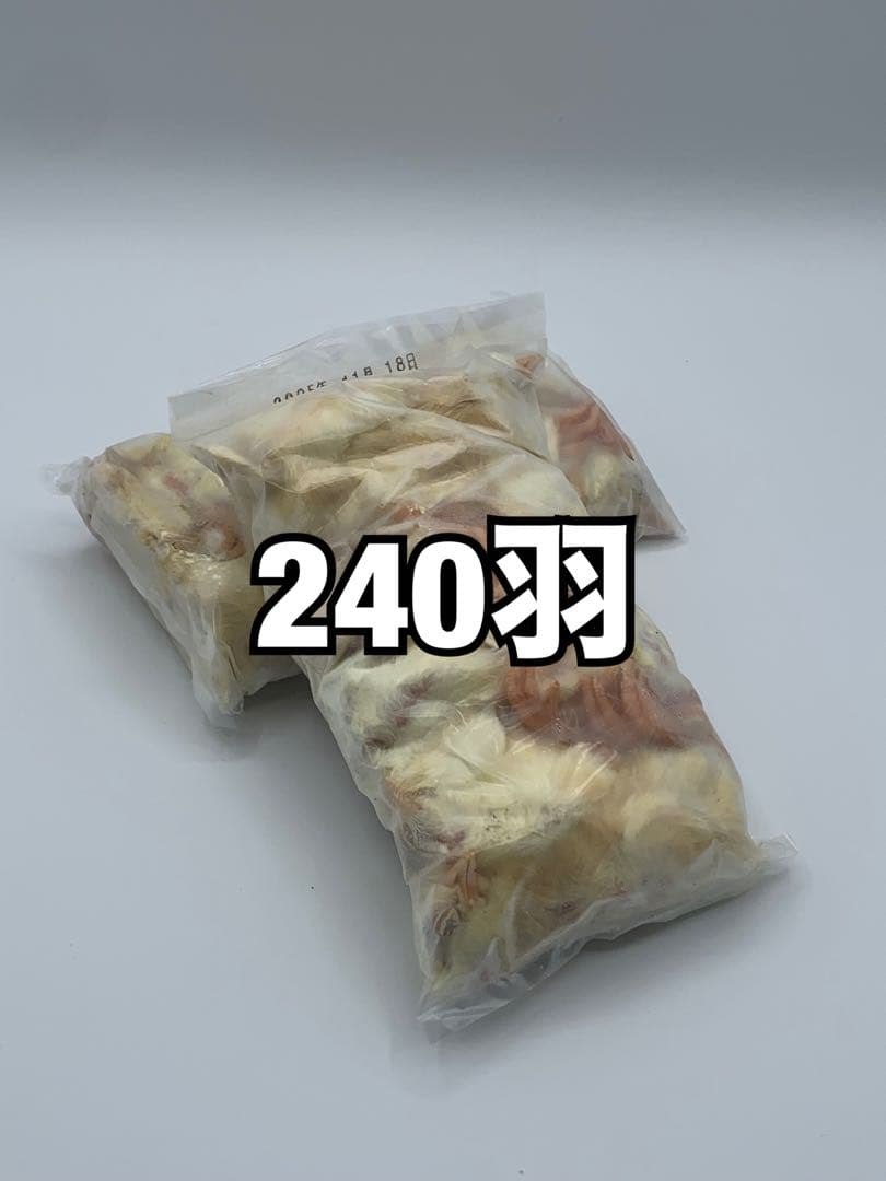 冷凍ひよこ（240羽）【送料込】