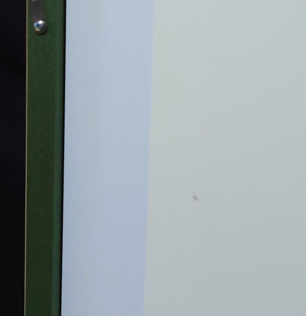 【真作】 Backsideworks ed.70 シルクスクリーン KYNE