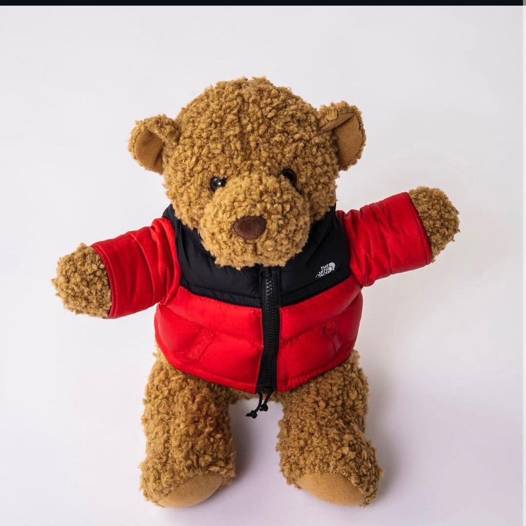 国内正規品▶︎THE NORTH FACE 【ヌプシベア】