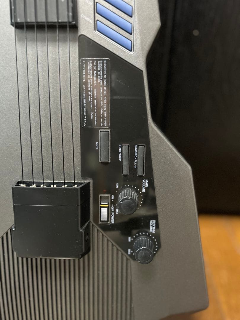 カシオ　DG-20 デジタルギター