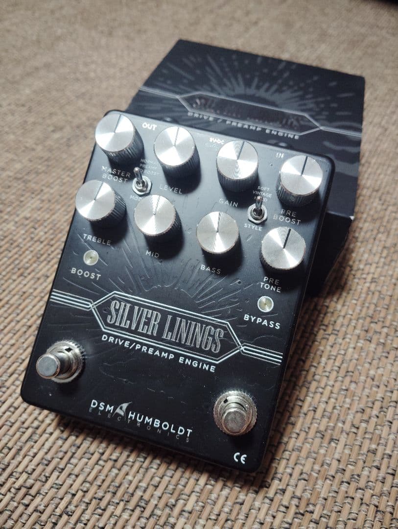 ギター DSM HUMBOLT SILVER LININGS