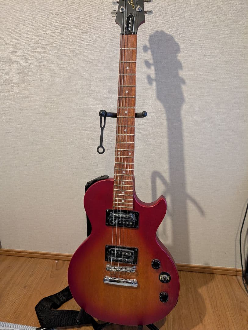 Epiphone Les Paul Special　ソフトケース付き