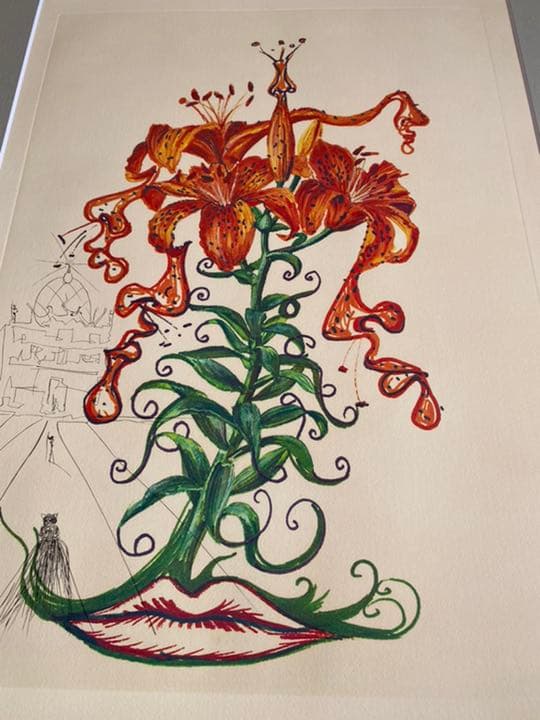 サルバドール・ダリ銅版画 「タイガーリリー虎百合」1972年作品 ダリ直筆サイン