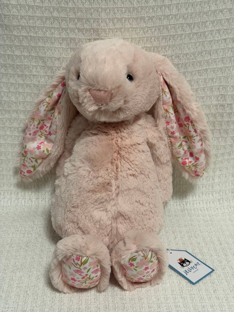ジェリーキャットBlossom Blush Bunny 'Cherry （M)
