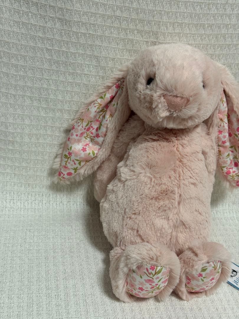 ジェリーキャットBlossom Blush Bunny 'Cherry （M)