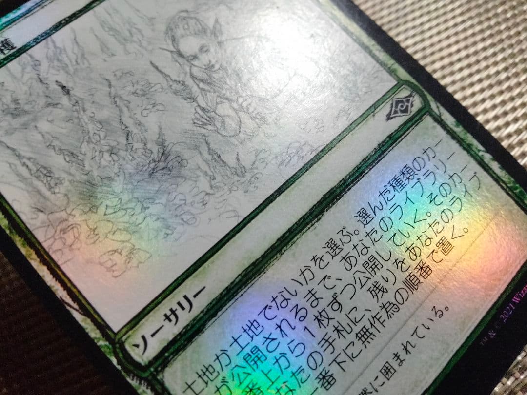 【ご確認用】モダンホライゾン2 スケッチ foil 豊穣な収穫b 日本語  1枚