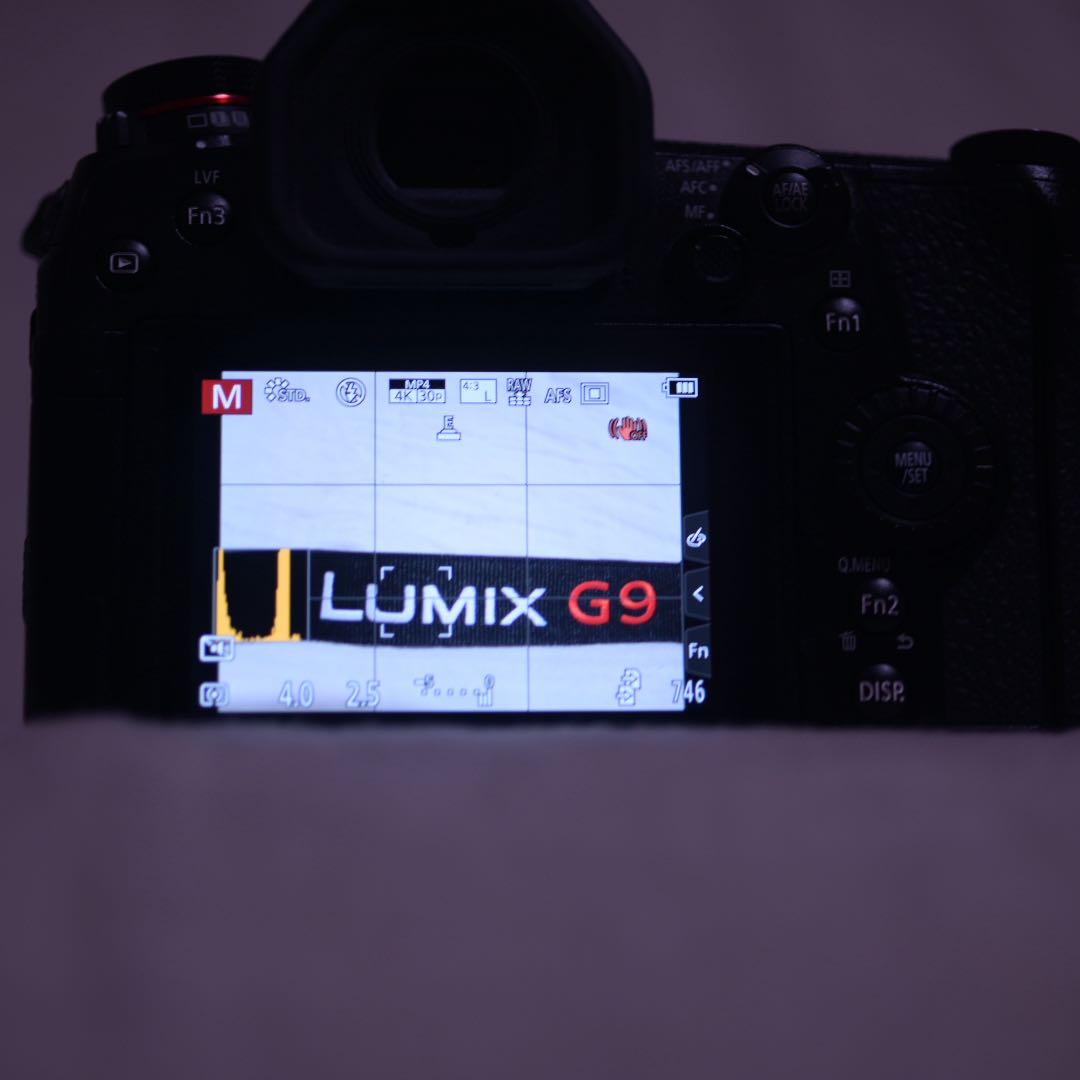 LUMIXG9 PRO ショット数　135回